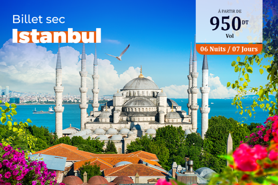 Billet Istanbul